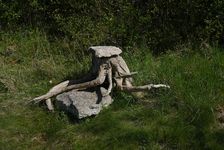 Octopus - Jean Pierre Declercq